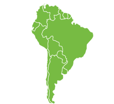 South-American